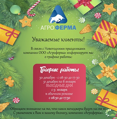 Режим работы в Новогодние праздники
